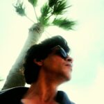 Shah Rukh Khan Instagram - Windy LA enroute Vancouver.