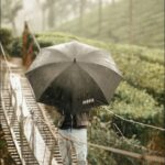 Shaheer Sheikh Instagram – #naturelovers #Munnar  #loveThisSong
Video courtesy @sbk_shuhaib