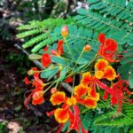 Shaheer Sheikh Instagram – Teri kudrat mein rang hain kitne.. mein bhi toh teri kudrat ki he paidaish Hun.. #saveplanetearth #sayNotoPlastic #shaheersheikh