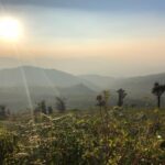 Shalini Pandey Instagram - Sun. Mountains. Trees. And cherry on the cake be the sunrays! 🌸 Galikere