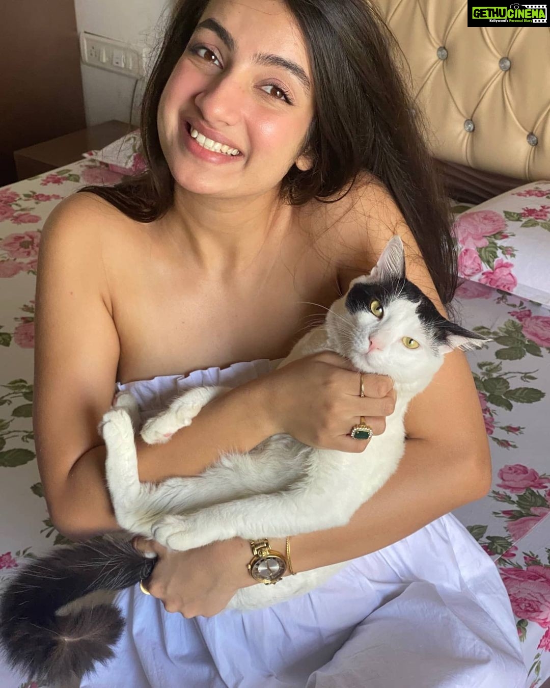 Sherlin Seth Instagram - My lil muffin π€ππ€ PS: The only reason he stayed in my arms for so long (11 seconds to be precise) is because I gave him treats after π π· @kratinc . #catmom #catsofinstagram #catlover #cat #sherlinseth #cute #cutecat #meow #bollywoodsong #bollywood #foryoupage #forme #viralpost #cats