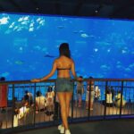 Sherlin Seth Instagram – In awe of this beautiful place ❤️ S.E.A. Aquarium