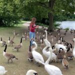 Shilpa Shetty Instagram - Was it the bread or me they were after??🤔Okay, they’ve got huge pointed beaks( ok maybe not so pointed!!) Doing what we usually do every summer with my son ..Feeding the ducks.. #Waltononthethames #londondiaries #feedingtheducks #brave #fun #familytime