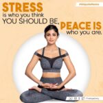 Shilpa Shetty Instagram - Stop analyzing life, just live it. Be content with what you have and who you are. To enjoy peace and calm, take 5 mins and “Breathe” deeply in stressful situations to change your mindset to a calmer one. Live in awareness. 🙏🏼😇 #ShilpaKaMantra #SwasthRahoMastRaho #peace #awareness #health #motivation #befit #breathe #mindfulness