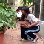 Shilpa Shetty Instagram - Where there is a Will there’s a Way... Still don’t have a farm but growing my organic, pesticide free veggies in pots. All the hard work is bearing (fruit)... vegetables in this case already 🥳🥳 To pluck fresh Brinjal, Fenugreek, Chillies, Basil... is an inexplicable joy. Enjoying this process sooo much. Farm (pot) to Fork is such a joy. Yaaaay! #homegrown #newbeginnings #happiness #pesticidefree #organic #farmtotable