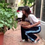 Shilpa Shetty Instagram – Where there is a Will there’s a Way…
Still don’t have a farm but growing my organic, pesticide free veggies in pots. All the hard work is bearing (fruit)… vegetables in this case already 🥳🥳 To pluck fresh Brinjal, Fenugreek, Chillies, Basil… is an inexplicable joy. Enjoying this process sooo much.
Farm (pot) to Fork is such a joy. Yaaaay!
#homegrown #newbeginnings #happiness #pesticidefree #organic #farmtotable