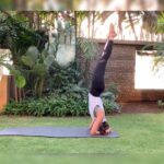 Shilpa Shetty Instagram - Today on the Yoga menu is Dynamic Suryanamaskar... the next level... trying to burn two big chunks of #Mysorepak from yesterday’s menu 😅🧘🏾‍♂💪 How to do it... Hasta Uttanasana Padahastasana Ashwa Sanchalanasana Utthita Chaturanga Dandasana Ashtanga Namaskarasana Bhujangasana Parvatasana Shirshasana Utthita Chaturanga Dandasana Ashtanga Namaskarasana Bhujangasana Parvatasana Ashwa Sanchalanasana Padahastasana Hasta Uttanasana Pranamasana From not being able to do the “Sirsasana” to doing it in the Suryanamaskar flow is a feat for me. So happy I can nail it now. This flow is like a full body workout, strengthening, toning and stretching your body and imagination. #mondaymotivation #nothingisimpossible #yoga #yogi #discipline #suryanamaskar #advance #practice #happiness #ssapp #simplesoulful #comingsoon