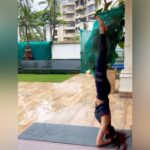 Shilpa Shetty Instagram - Sometimes, things need to be turned on their heads to get a better perspective. The Shirshasana helps me do just that! It is also the king of asanas. It helps me clear my mind, align myself; and helps strengthen the core, shoulders, & arms. It relieves stress, thereby enhancing the quality and health of hair. The asana also improves blood circulation and concentration. I have achieved this with consistent practice. However, do make sure you’re practicing this asana under supervision to avoid injuries. You can also start by practising against the wall. @simplesoulfulapp . . . . . #MondayMotivation #SwasthRahoMastRaho #SSApp #SimpleSoulful #yoga #yogasehihoga #Shirshasana #FitIndiaMovement #FitIndia #staysafe #maskup