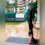 Shilpa Shetty Instagram – Sometimes, things need to be turned on their heads to get a better perspective. The Shirshasana helps me do just that! It is also the king of asanas. It helps me clear my mind, align myself; and helps strengthen the core, shoulders, & arms. It relieves stress, thereby enhancing the quality and health of hair. The asana also improves blood circulation and concentration. I have achieved this with consistent practice. However, do make sure you’re practicing this asana under supervision to avoid injuries. You can also start by practising against the wall.

@simplesoulfulapp 
.
.
.
.
.
#MondayMotivation #SwasthRahoMastRaho #SSApp #SimpleSoulful #yoga #yogasehihoga #Shirshasana #FitIndiaMovement #FitIndia #staysafe #maskup