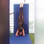 Shilpa Shetty Instagram – Just another day..trying to get my head around things trying to do the #Balancing act.The mind lives in doubt.. the heart lives on trust..the minute you trust..you become centred and find balance! #ShilpaKaMantra #SwasthRahoMastRaho #tuesdaythoughts #tuesdaymotivation #yoga #yogi #balance #sirsasana #upsidedown #instayoga