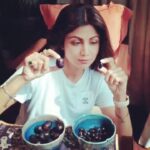 Shilpa Shetty Instagram – Will the “Real” Jamun please stand up!!🙀🤪 Love this fruit , season time😬.. the smaller ones from a friends farm and the bigger ones #Rajajamuns from the market😅#jamun #blackplums #healthbenefits