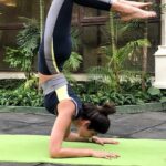 Shilpa Shetty Instagram - Stung by the Scorpion😬 Taken me 4 months to nail this one.. with all my issues! When you put your aligned mind ,heart and soul into it ,nothing is impossible . Yaaay!! Thankyou @sairajyoga for being the best #guru ever🙏😬 On to the next pose😬😅#scorpionpose #determined #yogalover #yogisofinstagram #instapic #picoftheday #nothingisimpossible #nevertoolate #happiness #gratitude #bethetribe #swasthrahomastraho