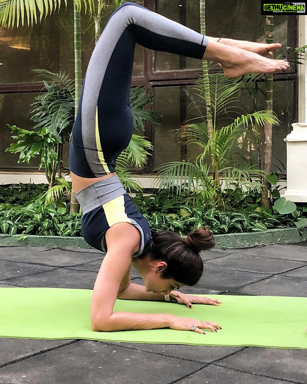Shilpa Shetty Instagram - Stung by the Scorpion😬 Taken me 4 months to nail this one.. with all my issues! When you put your aligned mind ,heart and soul into it ,nothing is impossible . Yaaay!! Thankyou @sairajyoga for being the best #guru ever🙏😬 On to the next pose😬😅#scorpionpose #determined #yogalover #yogisofinstagram #instapic #picoftheday #nothingisimpossible #nevertoolate #happiness #gratitude #bethetribe #swasthrahomastraho
