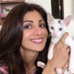 Shilpa Shetty Instagram – Introducing our new addition “Queenie” , she walked into our office , shivering on a rainy day and my mom adopted her😬 Sunday playtime with her. #instacat #lovepets