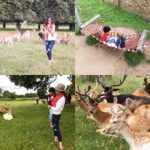 Shilpa Shetty Instagram - Family Picnic at Bushy park today,what a great way for kids to be close to nature nd play. Peanut butter nd jam sandwiches nd Whippy ice creams on the menu( also had an Indian family who offered us Pani puri which we accepted😁)#picnicday #littlejoys #londondiaries #gratitude