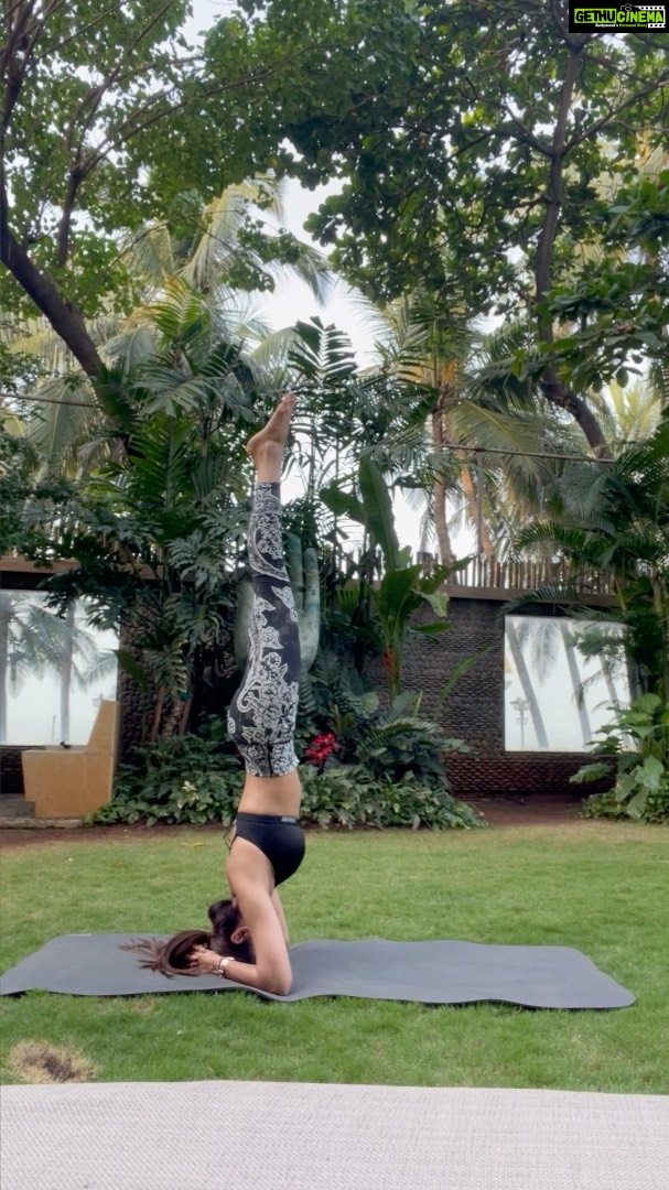 Shilpa Shetty Instagram - Whoever thought it was easy for me... Nothing in life is.. till you try consistently. When I first tried the Shirshasana, or the Headstand, almost 3 years ago with a bit of fear as I was told I wouldn’t be able to since I suffered with cervical spondylosis. Started out late, but I made it my personal goal to attempt it with diligence , faith, and the belief that “the mind is more powerful than the body”. It took me a few months to accomplish the mission I was on but nailed it nevertheless. Ever since, I practice this asana to sustain this accomplishment, no matter what happens. Three years later, it still makes me extremely happy to know that I can manage to perform and record myself performing the Shirshasana all by myself. This asana helps increase blood supply to the head, therefore, it is beneficial for the brain's functioning and for all sensory organs in the head (eyes, ears, etc.) It also improves focus and ability to concentrate, while it regulates the functioning of all the systems of the body. So, guys... the motivation here is, it’s never too late to start😊 Which asana have you perfected through practice? @simplesoulfulapp ~ Thank you, @sairajyoga for always being my Wall 🙏 . . . . . #MondayMotivation #SwasthRahoMastRaho #SSApp #FitIndiaMovement #SimpleSoulful #yoga #shirshasana #gratitude #willpower #determination