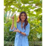 Shilpa Shetty Instagram - Nothing ‘low key’ about my love for ‘Lauki’ 😂❤️ . . . . . #farming #organic #veggies #cleaneating #healthylifestyle #SwasthRahoMastRaho #happiness