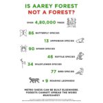 Shilpa Shetty Instagram – Global warming, recurring monsoon floods, disasters wrecking havoc that we have been subjected to, WE – Mumbaites – must unite to oppose axing of over 2,700 trees in the #AareyForest – a shocking move, which will result in a heavy price tag paid by not just us, but our future generations too!! Safety of our city and protecting our green lungs creating pollution-free air is the prime need of the hour. Protecting the environment isn’t an option anymore nor can we turn a blind eye to it. I appeal TO ALL, to oppose this order of destroying the last green lung of our city.

#SaveAareyForest #standtogether #savetheenviornment #responsible #preventionbetterthancure #istandbyaarey