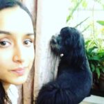 Shraddha Kapoor Instagram – My masti khor!!!!!! #ShylohBabu