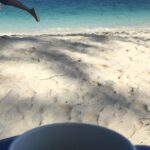 Shraddha Kapoor Instagram - Coffee, Krabi and some leg-photobombing by our super-cool director @sabbir24x7 #Baaghi #Krabi @tigerjackieshroff