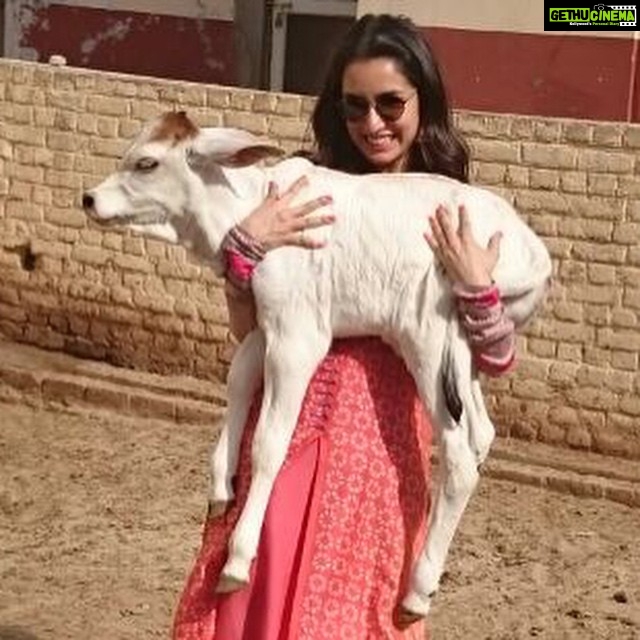 Shraddha Kapoor Instagram - Want to take this one home!!!!!!!