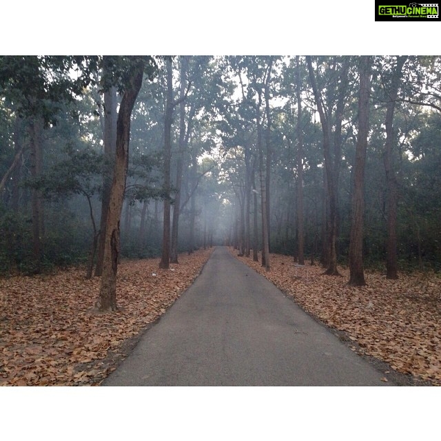 Shraddha Kapoor Instagram - Where I should have been. Missing out BIG TIME. #Nature #Camping #Dehradun #NatureKiGalliyan Missing you guys so much @sushi1983 @theraghav_juyal @pavanfictitious