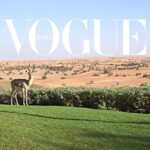 Shraddha Kapoor Instagram - Oasis Found :) @vogueindia