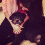 Shraddha Kapoor Instagram – Little brat being all cute #mylove #chillinlikeavillain #home #mumbai