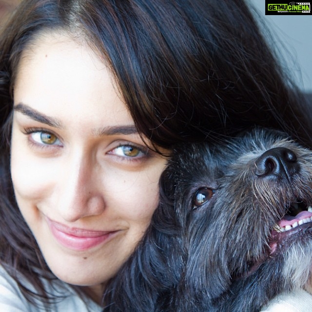 Shraddha Kapoor Instagram - Weekend with Shyloh at home . #bestdog #bestpet #mumbai #ShylohBabu