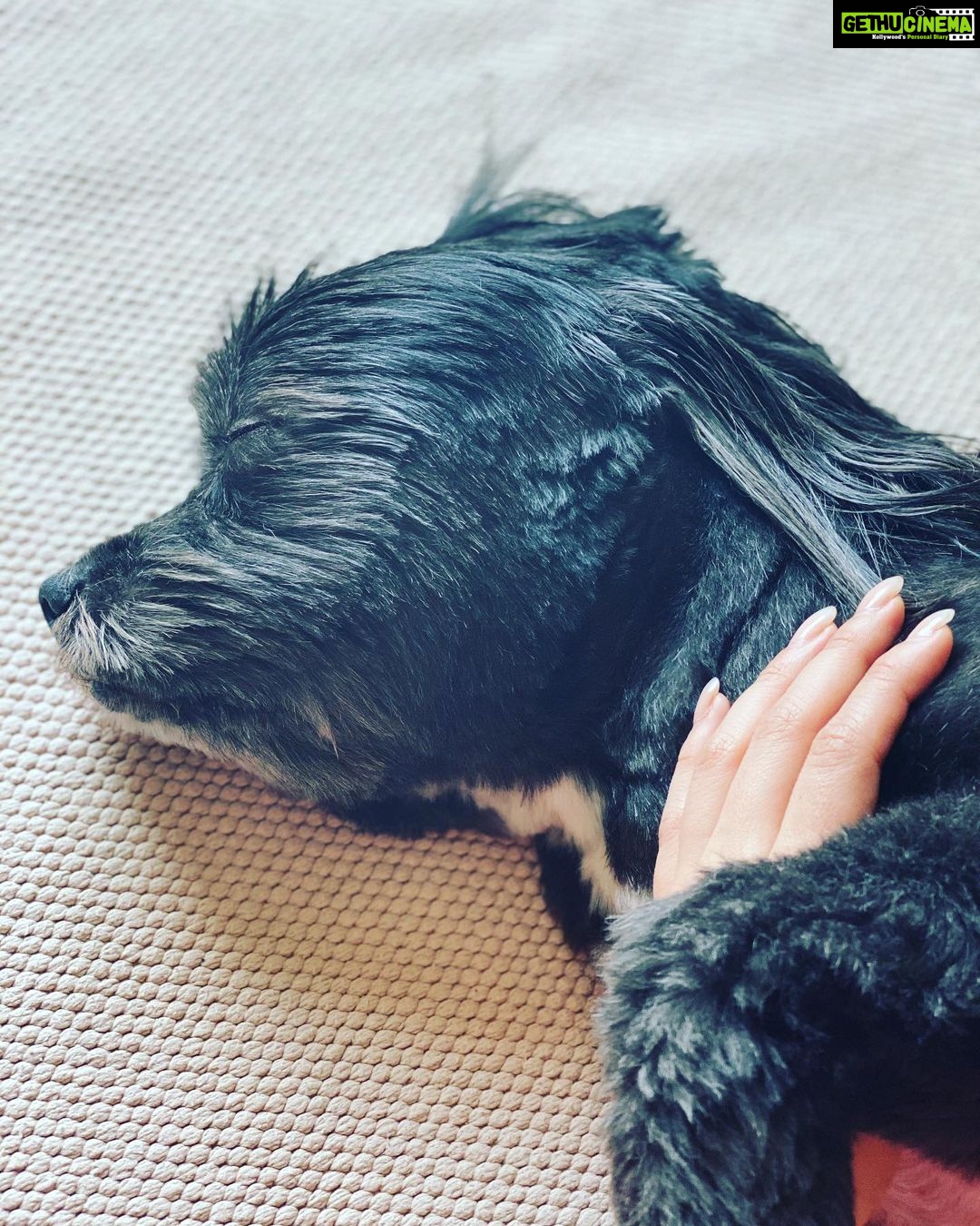 Shraddha Kapoor Instagram - The love for all living creatures is the most noble attribute of man ~ Charles Darwin