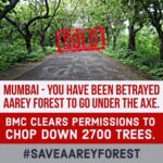Shraddha Kapoor Instagram - This is shocking and heartbreaking and NEEDS to be stopped. How can permission be cleared to cut down 2700+ trees to build a metro?!?!!!!! @aareyforest #SAVEAAREYFOREST
