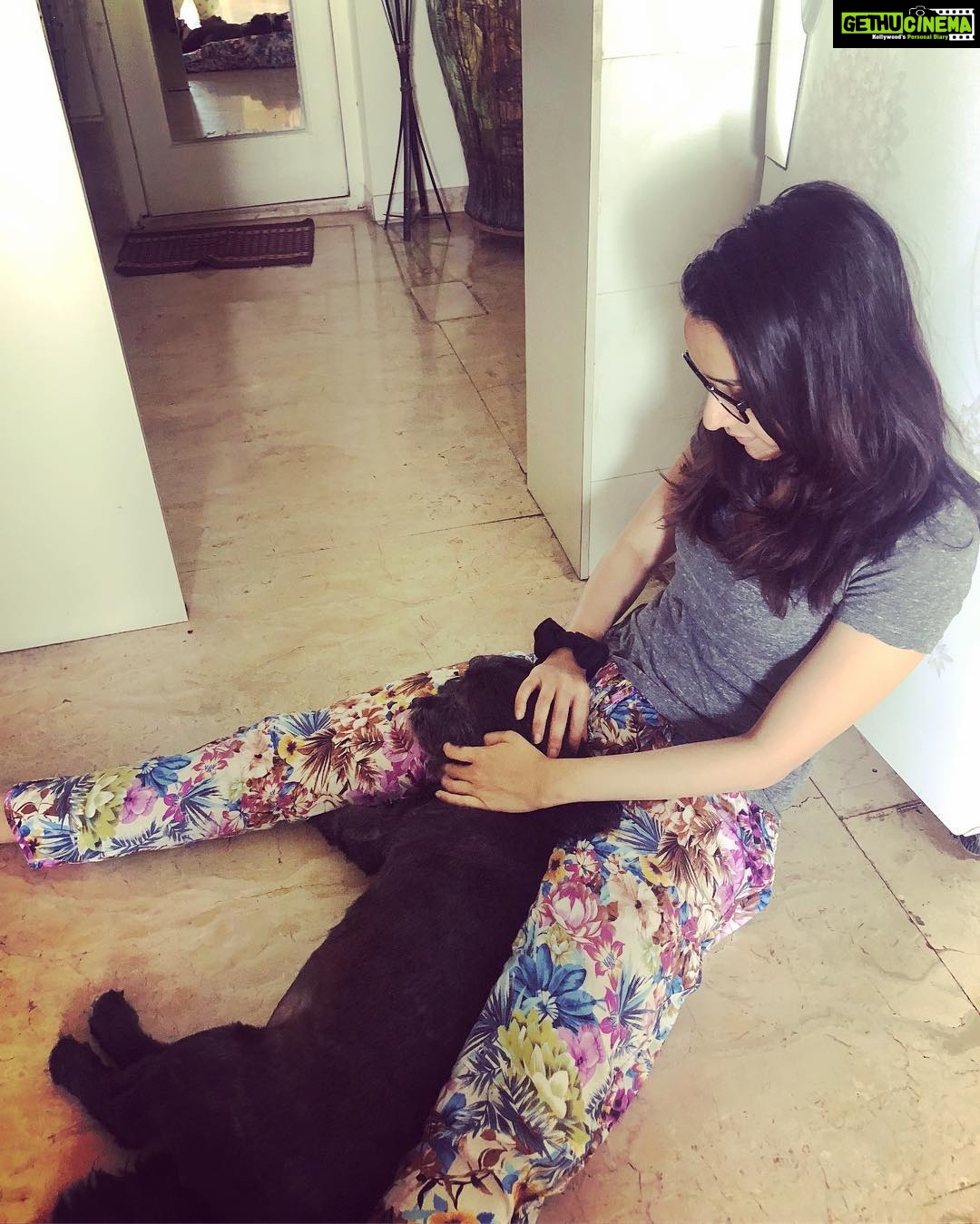 Shraddha Kapoor Instagram - Lazy Sunday cuddles with my best little babu 🙃 #SHYLOHBABU