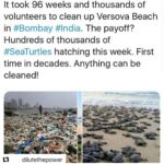 Shraddha Kapoor Instagram - This is such good news!!! #Repost @dilutethepower with @get_repost ・・・ 🐢🐢 Rp @naturalworldorder #DiluteThePower 🔻
