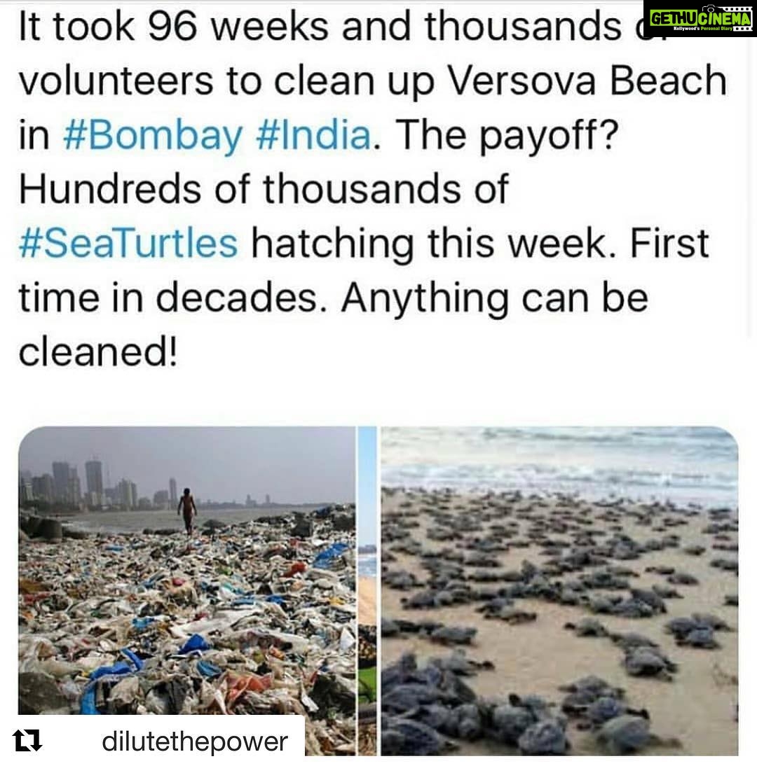 Shraddha Kapoor Instagram - This is such good news!!! #Repost @dilutethepower with @get_repost ・・・ 🐢🐢 Rp @naturalworldorder #DiluteThePower 🔻