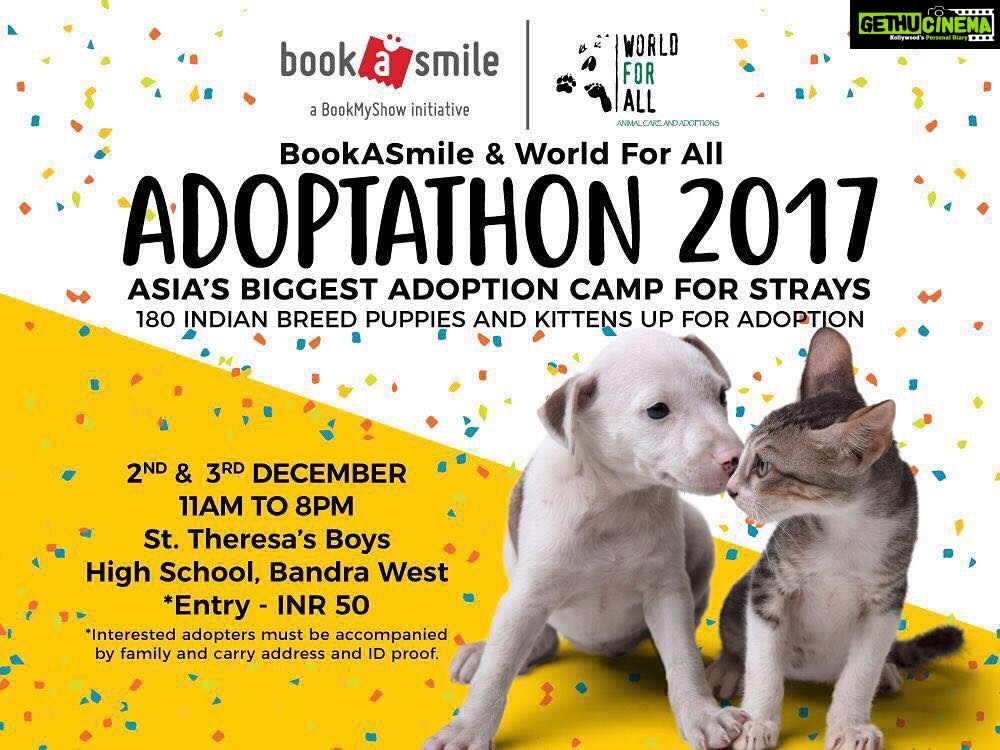 Shraddha Kapoor Instagram - Tiny puppies and kittens hope to find a loving furrever home before Christmas! Will you be the one to shelter them?Come visit the World For All Adoptathon 2017 this weekend and take your little furry friend home 🐾 #Adopt #Rescue #CantBuyLove 💕