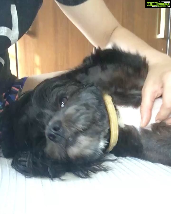 Shraddha Kapoor Instagram - Morning playtime 💃🏻#ShylohBabu