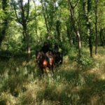 Shraddha Kapoor Instagram - With our amazing horses amidst the beauty of nature✨❤️ @eshankawahi #ShraSahaItalyTakeOver