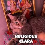 Shruti Haasan Instagram - Our cutie Clara 💜