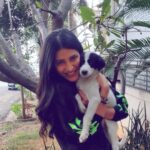 Shruti Haasan Instagram - Be still my heart 💜 🐶 I think I’ll call him Rupert