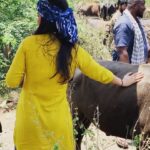 Shruti Haasan Instagram - Ms Rupert and I , Making friends 😁 fun behind the scenes memories from the shoot of LAABAM ☀️ps - buffalo Death Stare at the end was 👀