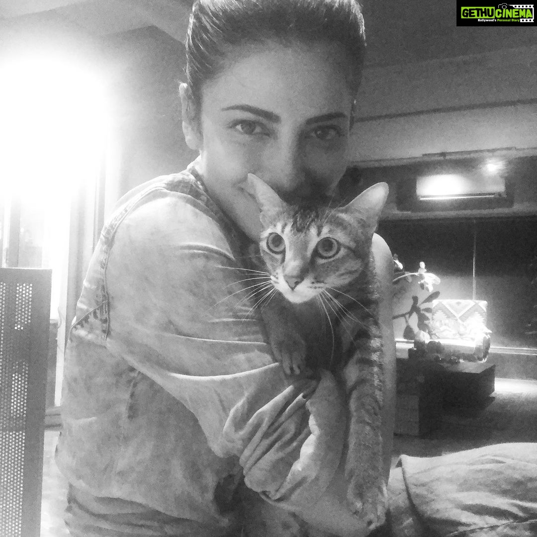 Shruti Haasan Instagram - Thankgod for Clara ๐ค I suddenly realise exactly how dr Neville felt about his dog Sam in I am legend ๐ Clara and I miss Cora so badly at this time :( I hope sheโs getting her cuddles somewhere and I hope everyone is safe and staying inside #stayhome #loveyourpets PS- your pets DO NOT spread covid 19!