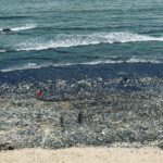 Shruti Haasan Instagram – This is the state of Juhu beach because of all the plastic stuck in the ocean that washes up:( so so terrible 💔