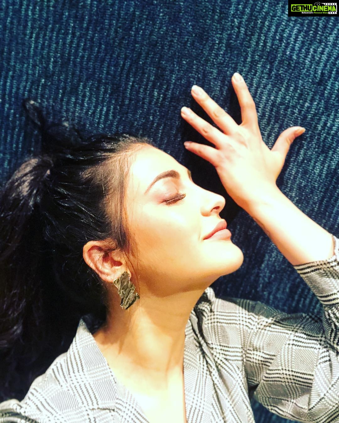 Shruti Haasan Instagram - Velvet walls - how could I not ! #geek #gethimtothegreek #dramatic