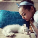 Sonakshi Sinha Instagram - Death by cuteness. Kidding… the cat is alive.