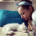 Sonakshi Sinha Instagram – Death by cuteness.

Kidding… the cat is alive.