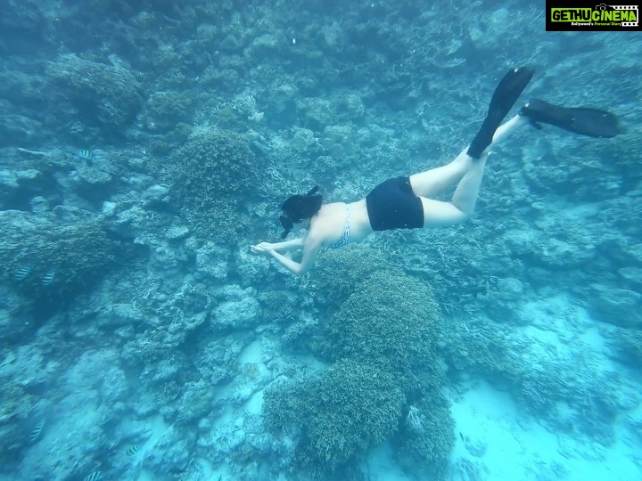 Sonakshi Sinha Instagram - We celebrate World Oceans Day to remind everyone of the major role the oceans have in everyday life. They are the lungs of our planet, providing most of the oxygen we breathe. Its a day to celebrate together the beauty, the wealth and the promise of the ocean. ππ #worldoceansday #savetheplanet #imamermaid (sorry i had to repost this because i forgot to add some amazing shots i took of a beautiful manta ray and turtle that were swimming with me too!!!)