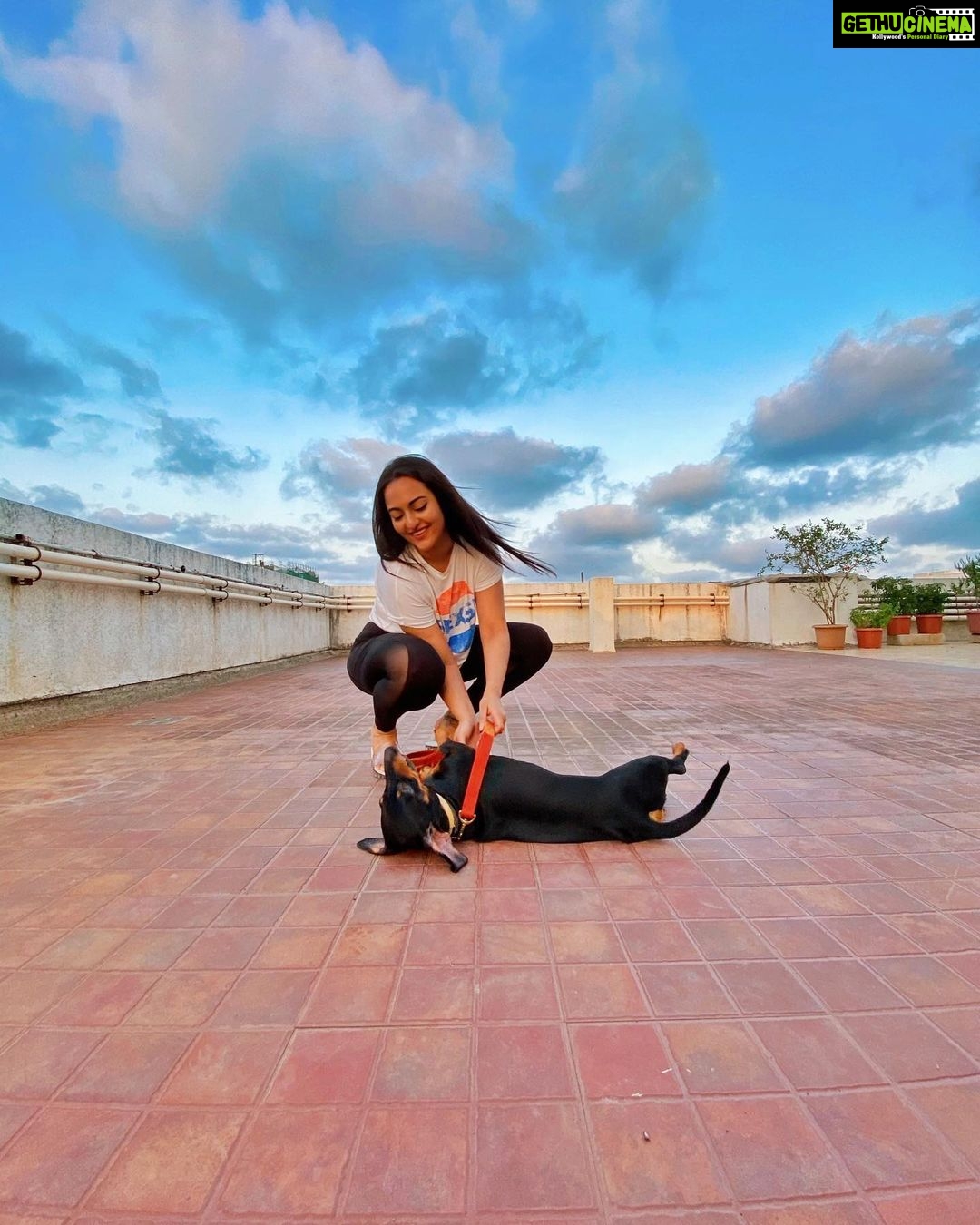 Sonakshi Sinha Instagram - Playtime with Gabruuuuuuu (the most annoying creature on earth but he’s mine and i love him ❤️) photo by @luvsinha! #happiness #smalljoys #puppylove #lockdownlife