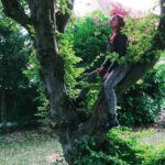 Sonakshi Sinha Instagram - Trees are nice. We must plant more.