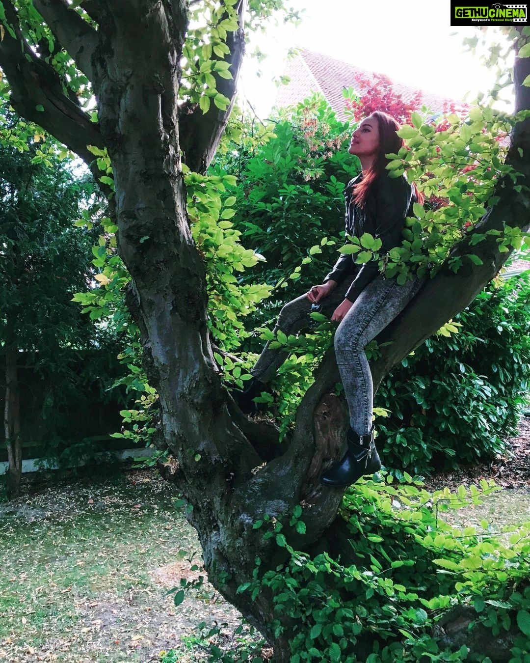 Sonakshi Sinha Instagram - Trees are nice. We must plant more.