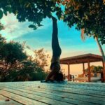 Sonakshi Sinha Instagram - The challenge here was not to stand on my head. It was to do it at the edge of the pool and not fall in... happy to announce that i did not. #livinglifeontheedge #headstand #yoga